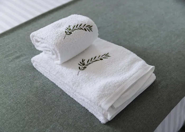 Casa Oliveira 招待所