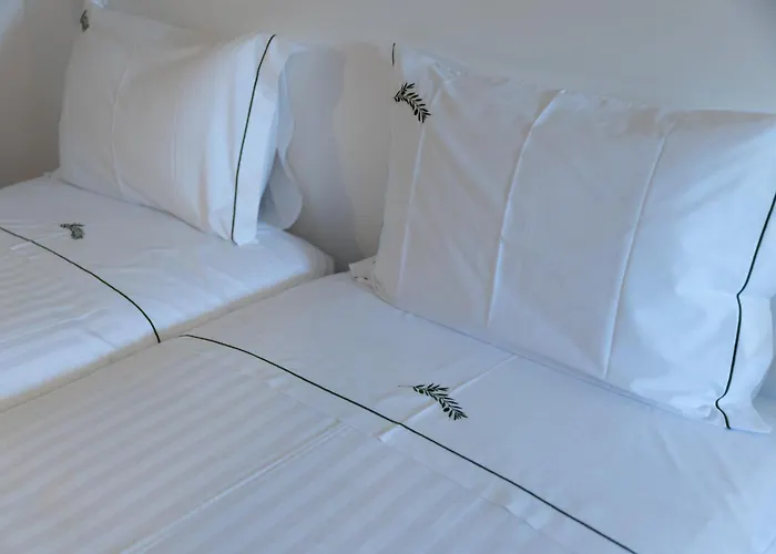 Casa Oliveira Maison d'hôtes *